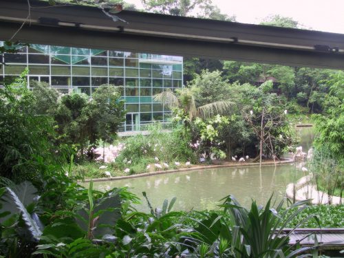 2001-Singapore-142