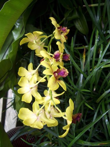 2004-Kuala-Lumpur-012