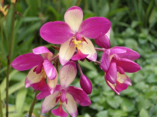 2004-Kuala-Lumpur-015