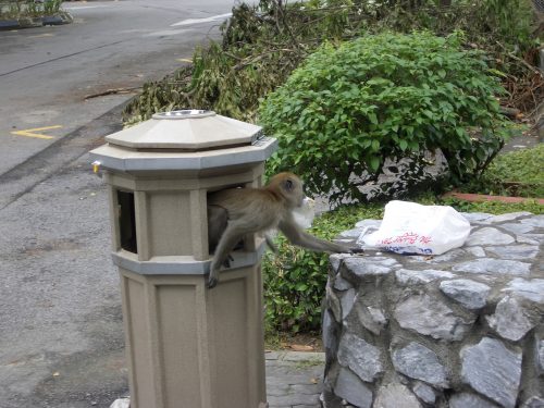 2004-Kuala-Lumpur-016