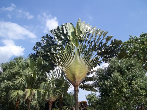 2004-Kuala-Lumpur-041