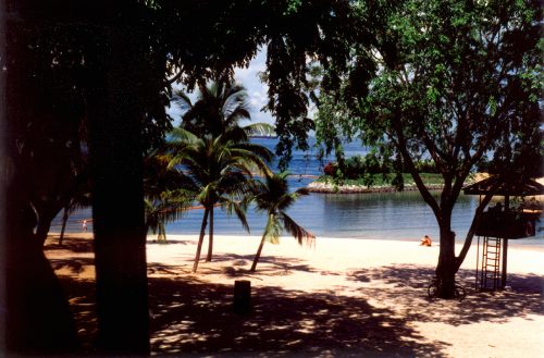 1993-94-Singapore017