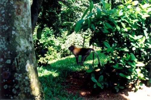 1993-94-Singapore020