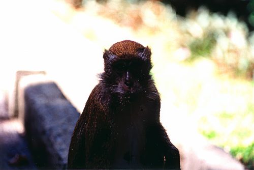 1993-94-Singapore023