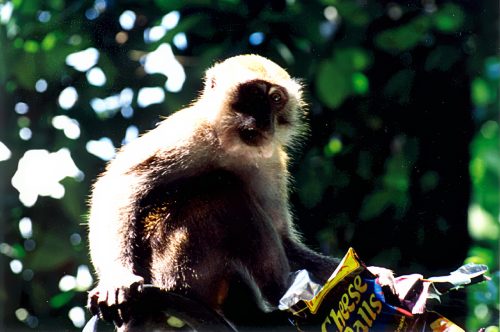 1993-94-Singapore024