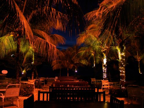 2001-05-17-103-0320 IMG